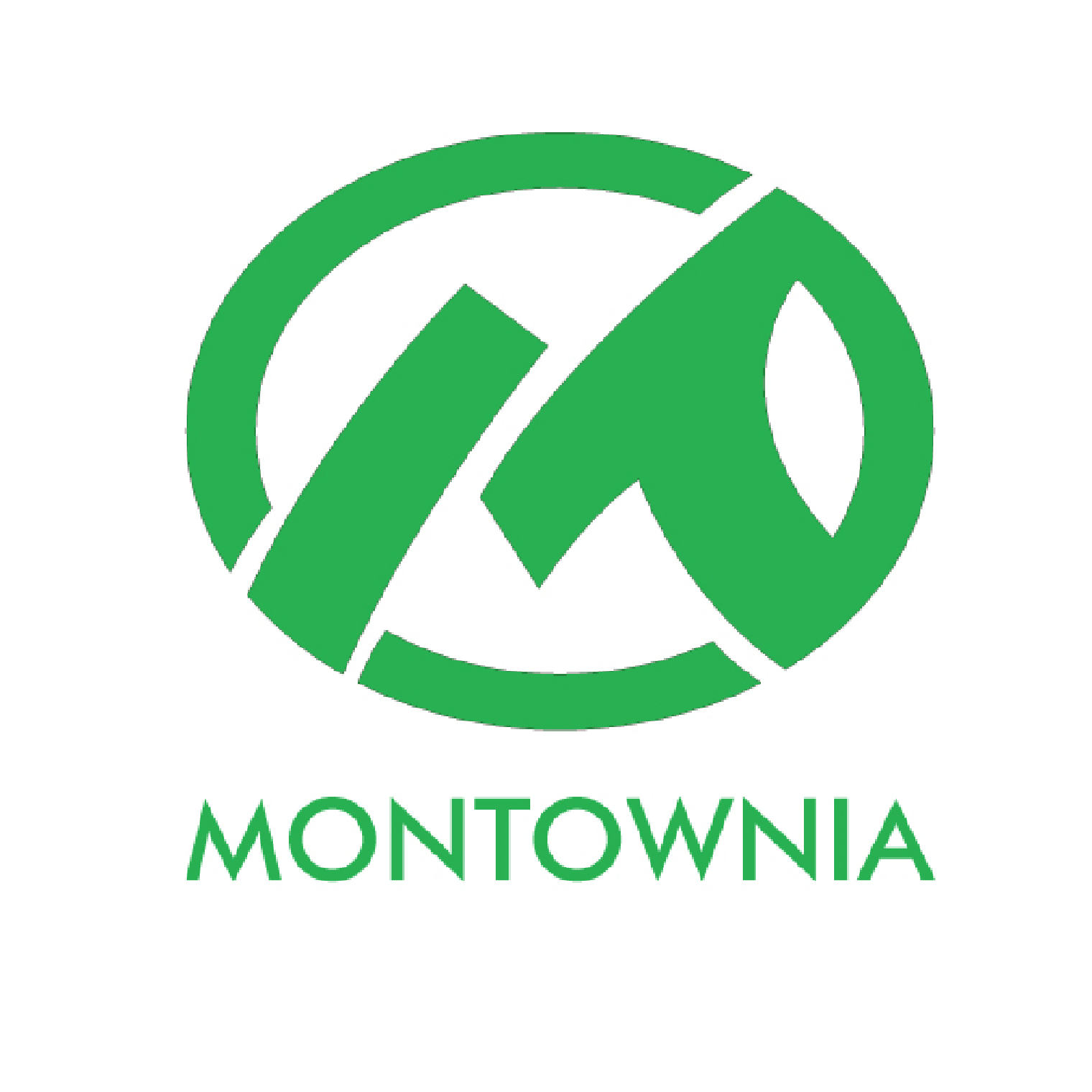 Stowarzyszenie Montownia